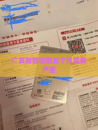财智金逾期5个月