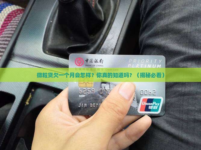 微粒贷欠款一个月后会发生什么