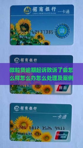 微粒贷逾期起诉败诉了
