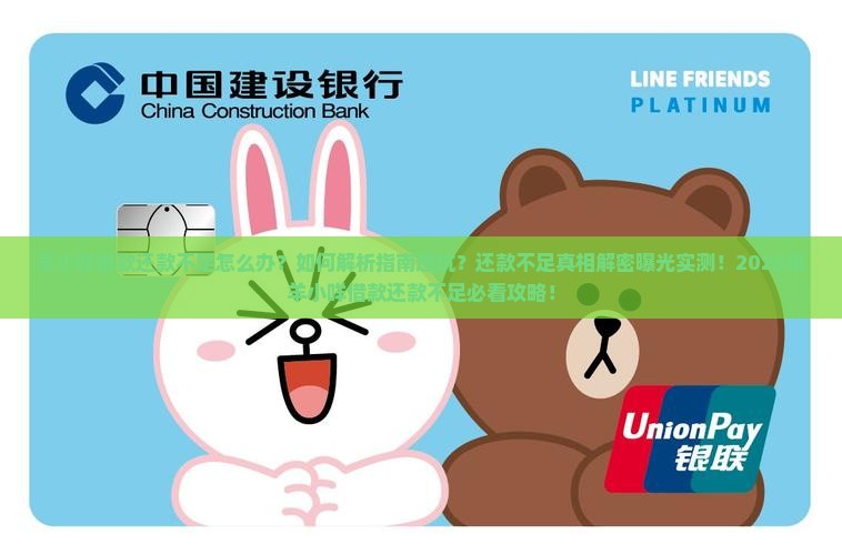 羊小咩借款还款不足怎么办