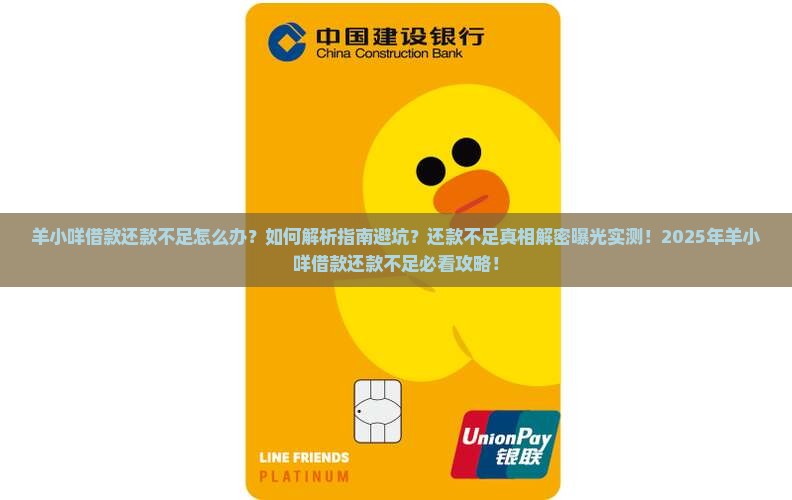 羊小咩借款还款不足怎么办