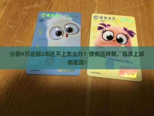 分期9万逾期2年了还不上应该怎么解决