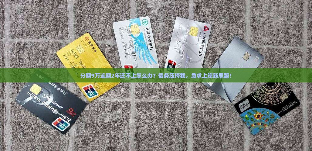 分期9万逾期2年了还不上应该怎么解决