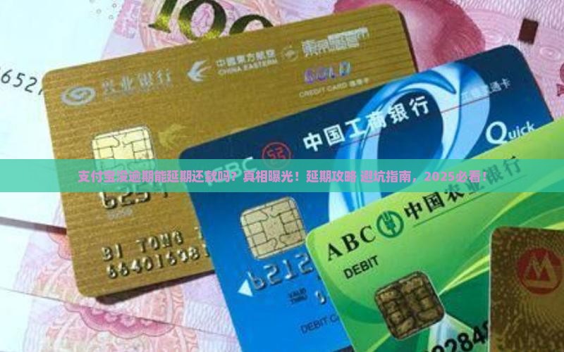 支付宝没有逾期可以延期还款吗需注意哪些事项