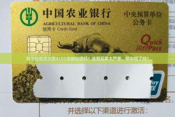 苏宁任性贷欠款4500会被起诉吗