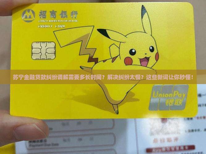 苏宁金融贷款纠纷调解需要多长时间