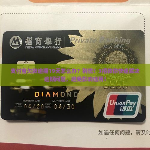 支付宝欠款逾期19天怎么办