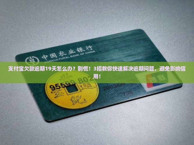 支付宝欠款逾期19天怎么办
