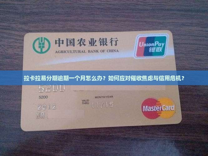拉卡拉易分期逾期一个月怎么办