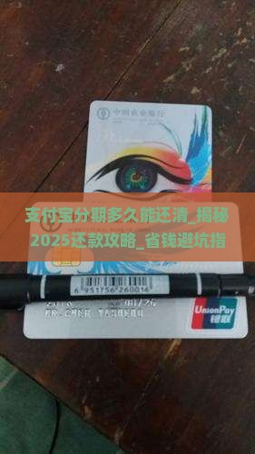 支付宝分期多久能还清
