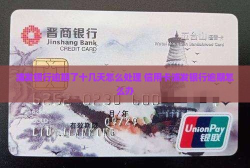 浦发银行逾期了十几天怎么办怎么办