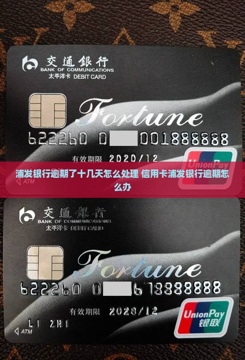 浦发银行逾期了十几天怎么办怎么办
