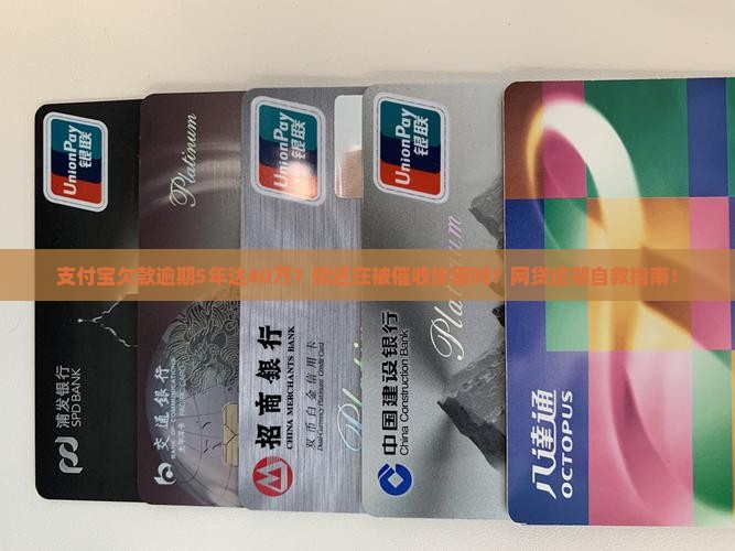 支付宝欠款逾期5年达40万