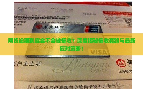 网贷逾期会不会催收的解答