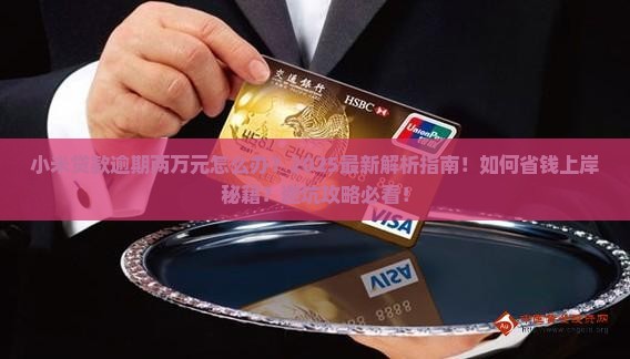 小米贷款逾期两万元怎么办