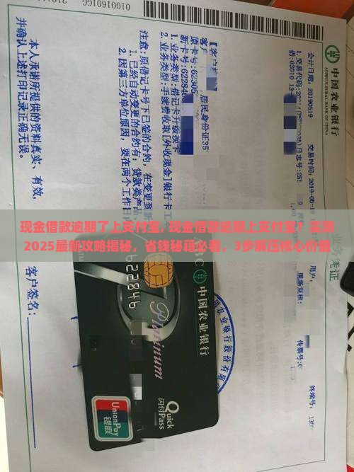 现金借款逾期了上支付宝