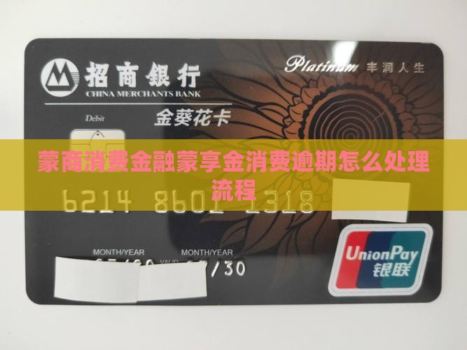 蒙商消费金融蒙享金逾期处理流程