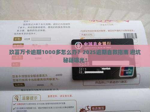 玖富万卡逾期1000多怎么办