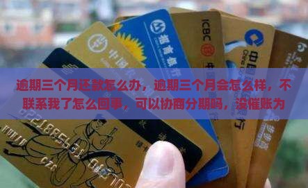 360借条逾期三个月还款怎么办