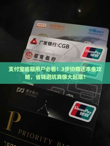 支付宝逾期协商还本金流程如何