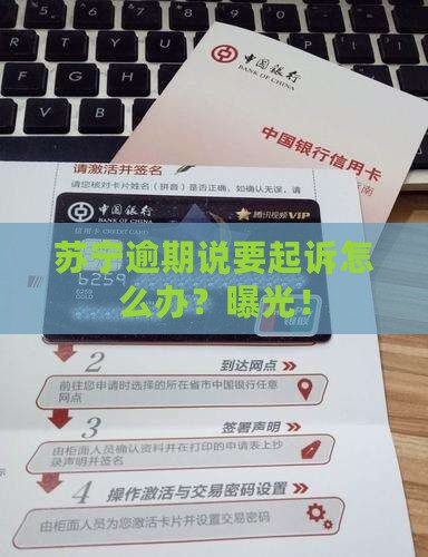 苏宁逾期说要起诉怎么办