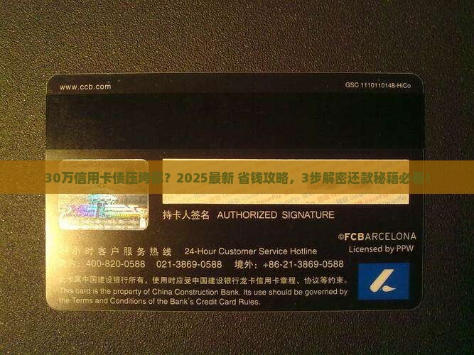 好几张信用卡欠款30万怎么还