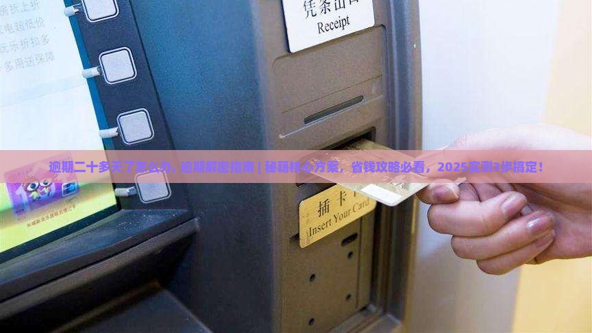 羊小咩逾期二十多天了怎么办