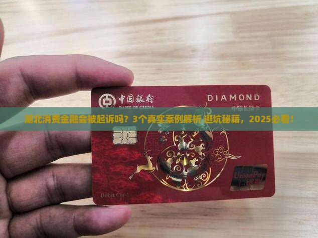 湖北消费金融会被起诉吗