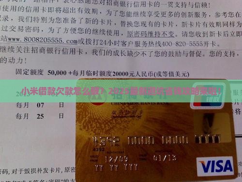 小米借款欠款如何处理