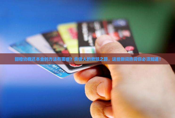 甜橙协商还本金的方法有哪些