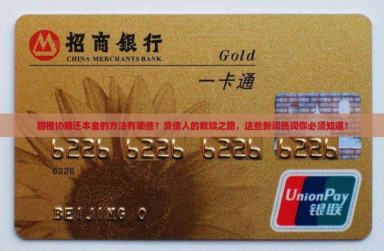 甜橙协商还本金的方法有哪些