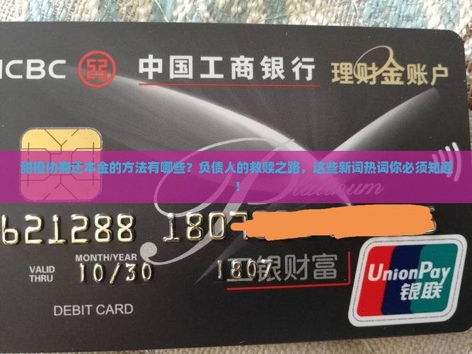 甜橙协商还本金的方法有哪些