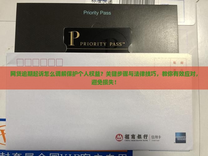 网贷逾期起诉怎么调解保护个人权益