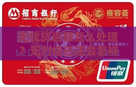 无忧贷无能力偿还会怎么处理