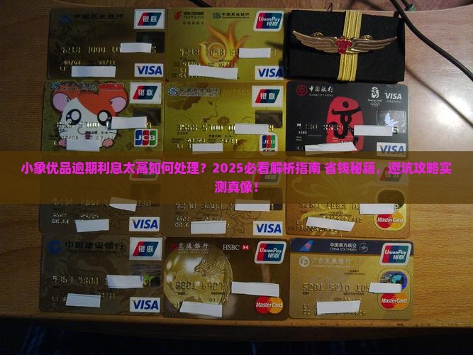 小象优品逾期利息太高该如何处理