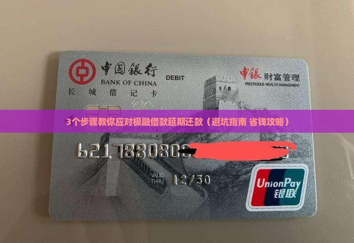 极融借款延期还款会怎样解决方案