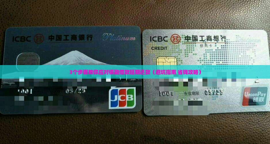 极融借款延期还款会怎样解决方案