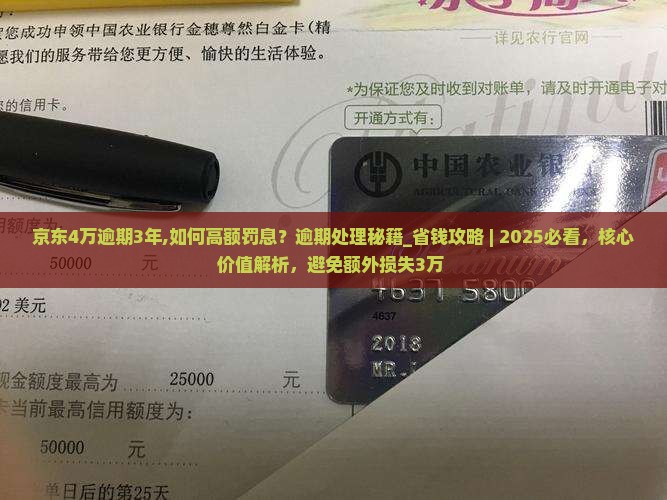 京东白条4万逾期3年