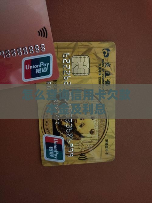 怎么查询信用卡欠款本金及利息