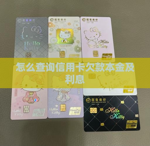 怎么查询信用卡欠款本金及利息