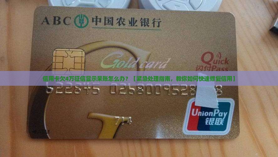 信用卡欠4万征信显示呆账怎么办