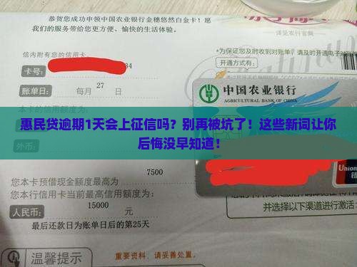 惠民贷逾期1天会上征信吗