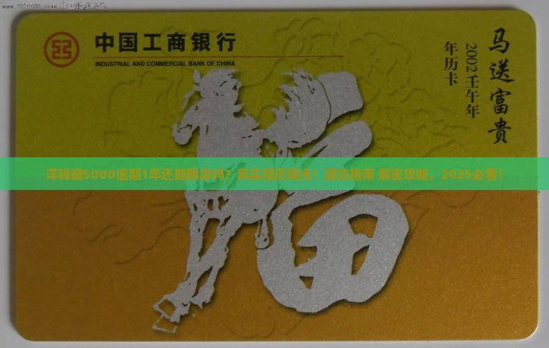 洋钱罐5000逾期1年到底怎么办