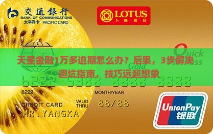 天星金融1万多逾期应该如何处理
