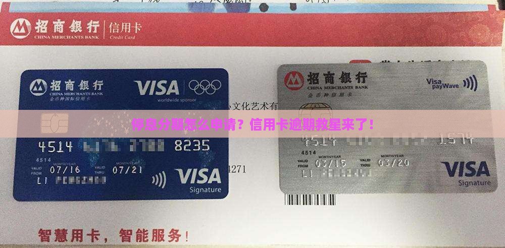 停息分期怎么申请