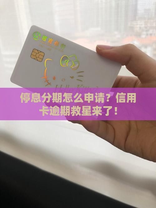 停息分期怎么申请