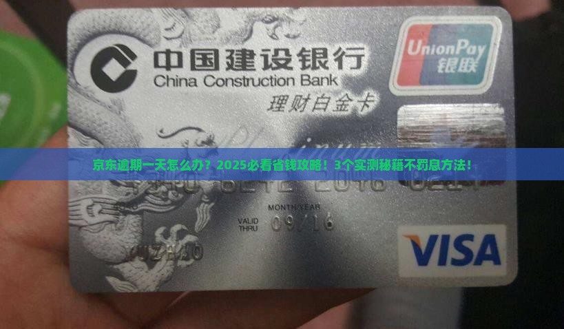 京东白条无意逾期一天及相关问题解答