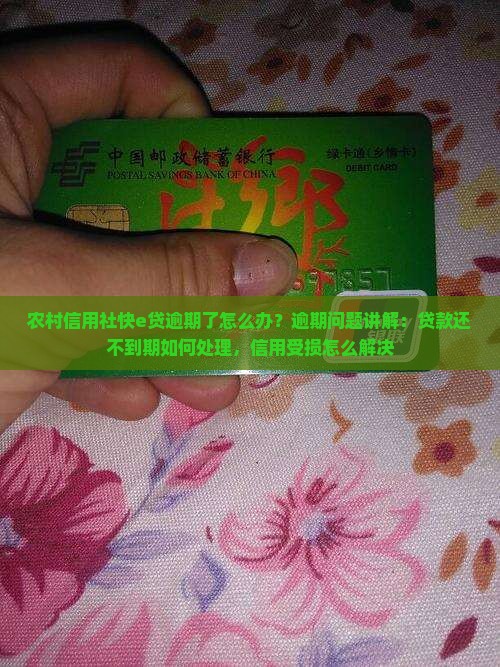 农村信用社的快e贷逾期了怎么办