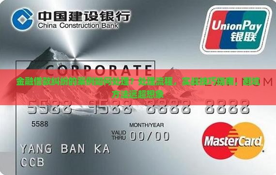 金融借款纠纷的案例如何处理