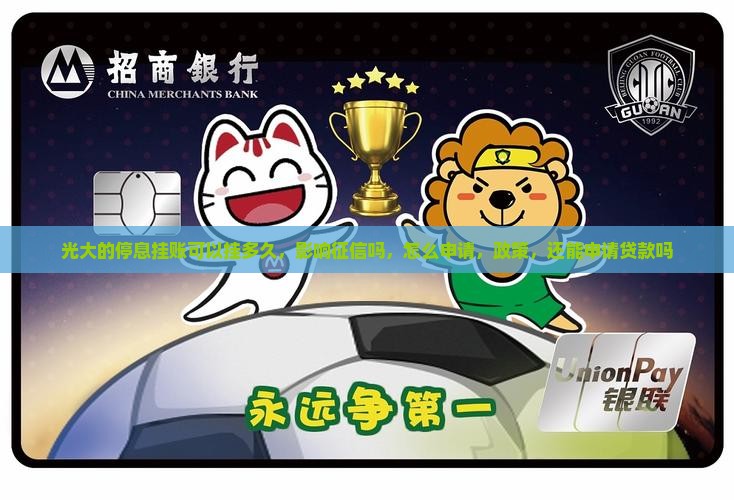 光大的停息挂账